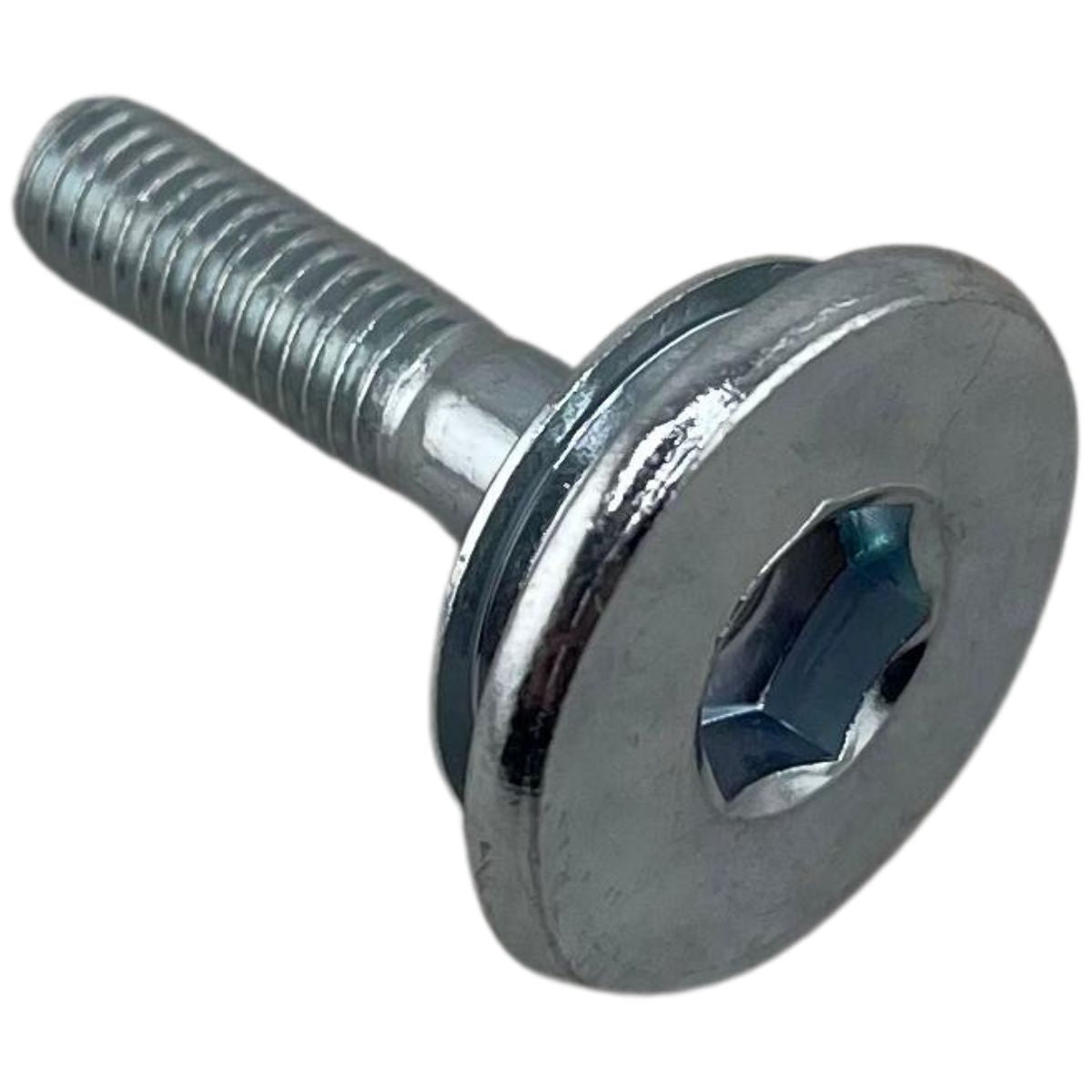 FLANGE SOCKET HEAD CAP SCREWM6x24 (BLOG150)