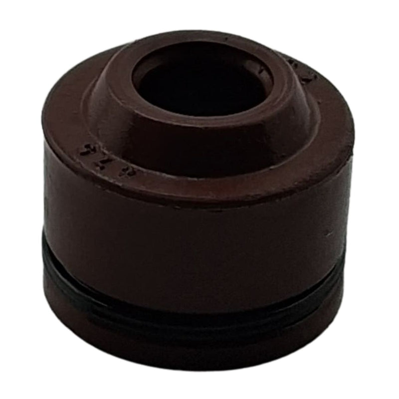 AIR VALVE OIL SEAL (BLOG150)