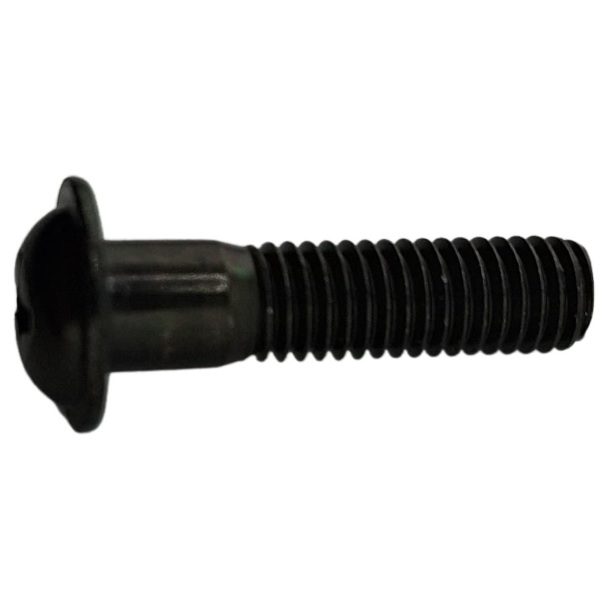 CROSS RECESSED PAN HEAD SCREW M5x20 (BLOG150)