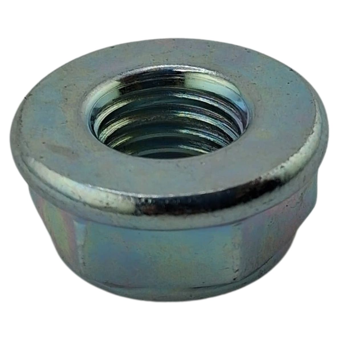 FLANGE SELF-LOCKING NUT S17M10 (BLOG150)