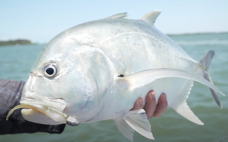 Señuelo goma suave 9.5cm 10 Uds.