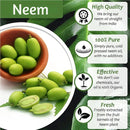 Aceite de Neem Puro 1 litro, Orgánico, Para plagas de Plantas.