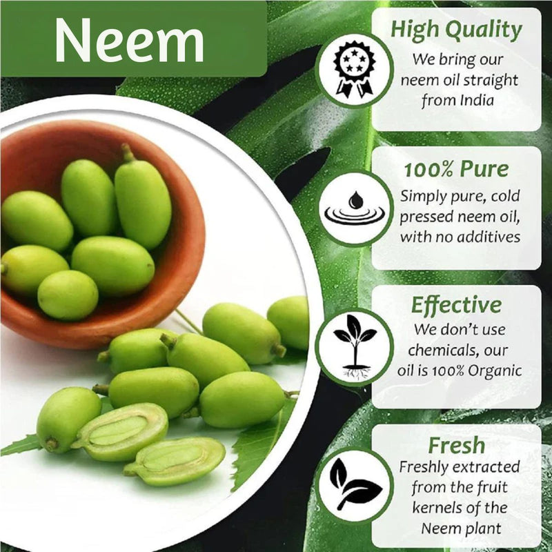 Aceite de Neem Puro 1 litro, Orgánico, Para plagas de Plantas.