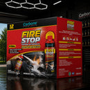 Extintor en Spray 500ml Tipo Aerosol Portátil Para Auto y Moto. Apagafuegos Rápido para Vehículos y Emergencias