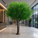 Árbol Banyan Simulado Decorativo de 3 Metros De Alta Densidad y Gran Realismo. Árbol Artificial Para decoración de Oficina Y Eventos. Planta