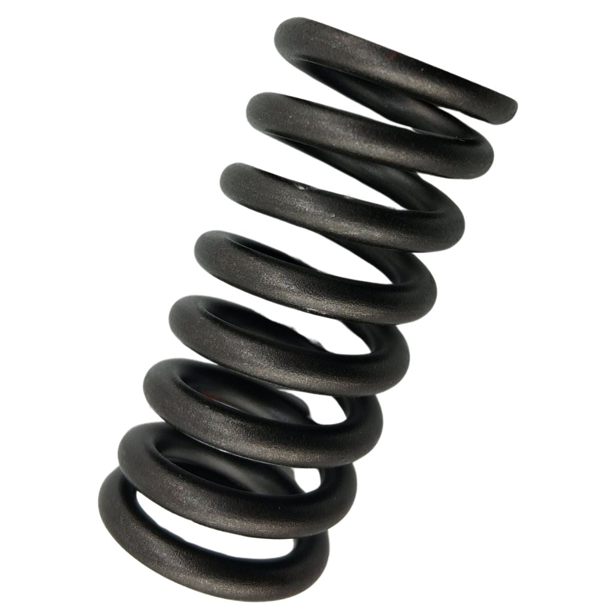VALVE OUTER SPRING