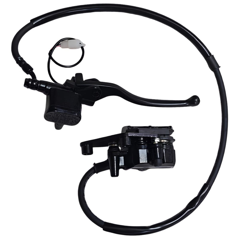 Sistema de freno trasero completo (XROAD200) REAR DISC BRAKE ASSY