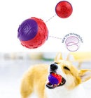 Pelota TPR Roja Purpura Para Mascota Large