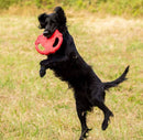 Frisbee Flying Tug 10" Rojo Para Mascota