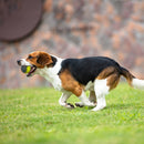 Pelota Silbadora Mediana Para Mascota