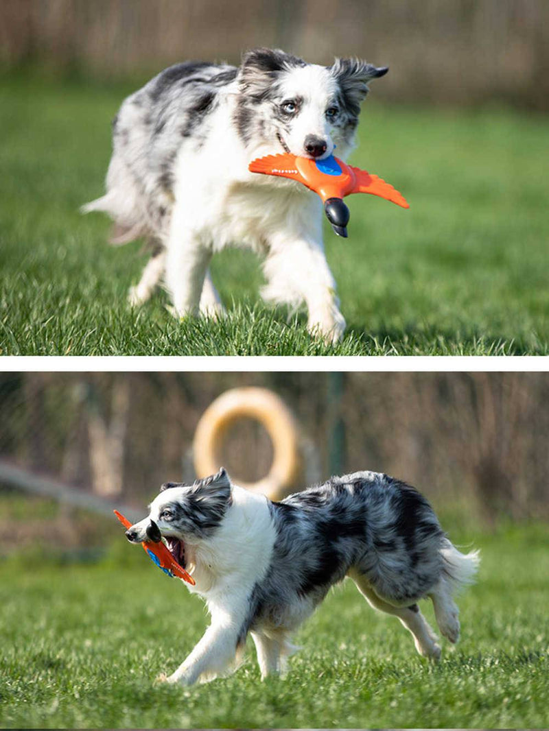 Juguete Frisbee Lets Fly Pato Para Mascota