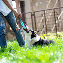 Juguete Suppa Conejo Azul Para Mascotas Pequeñas