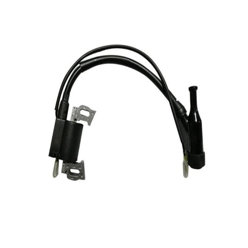 Montaje de encendido (SB00001238)