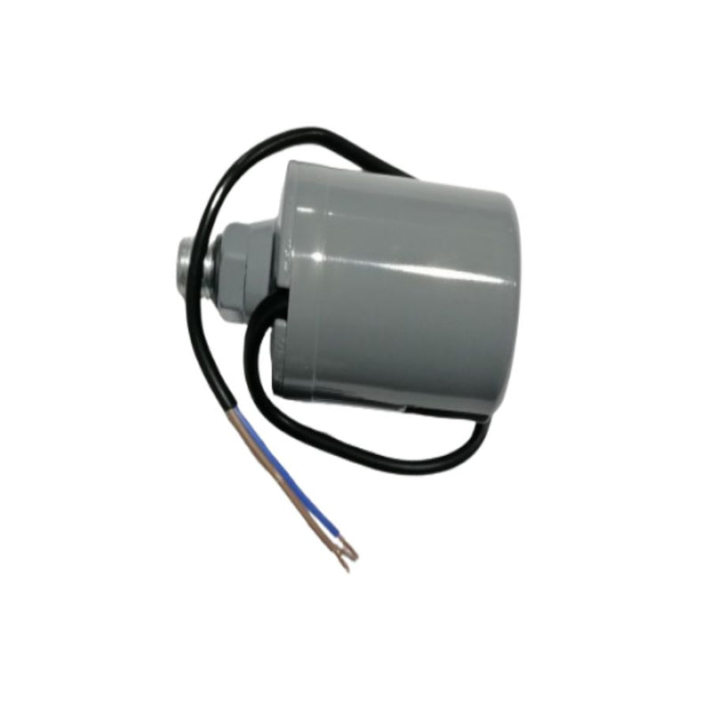 Interruptor (SB00001649)