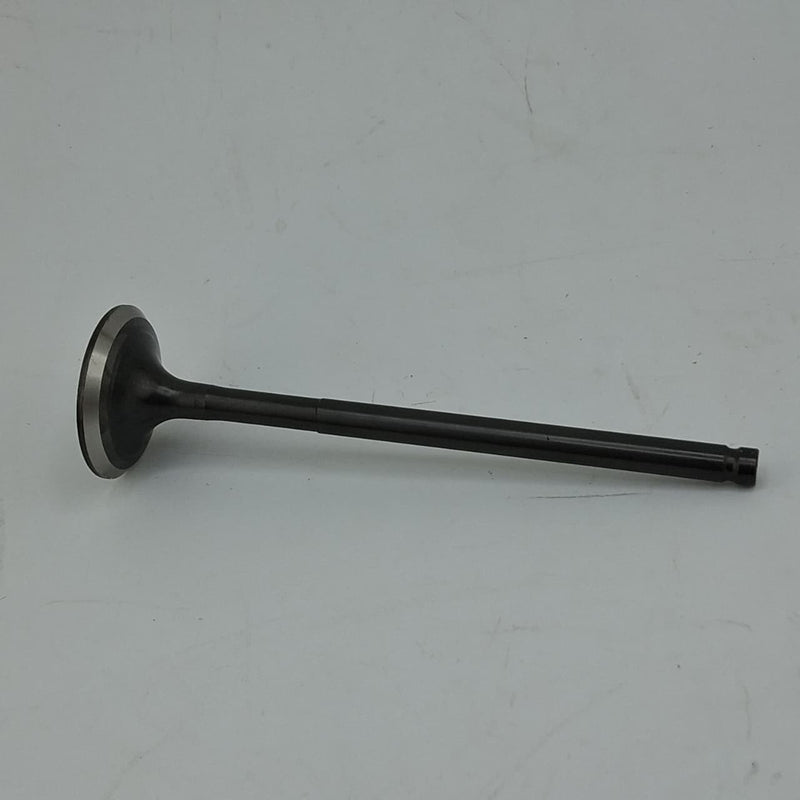 Valvula de escape (TX150) EXHAUST VALVE