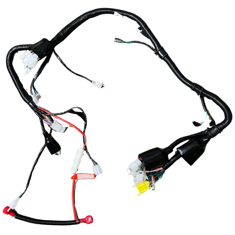 Arnes electrico (RK150) (CODIGO ANTERIOR MO-REP-P061180300-272000)