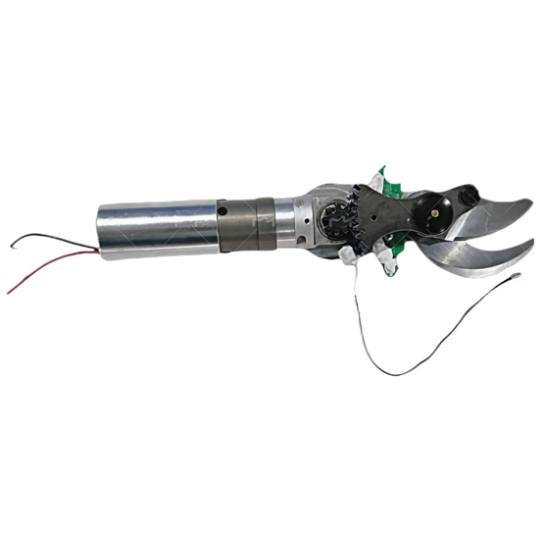 Motor y cizalla (AAA20004401)