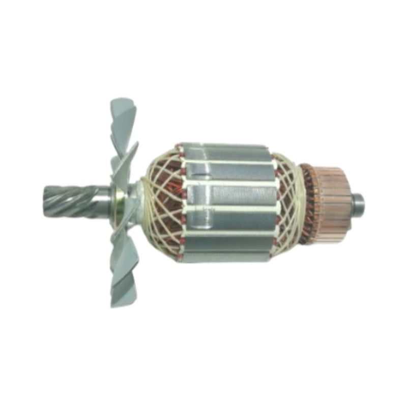 Armazón (DD00007562)