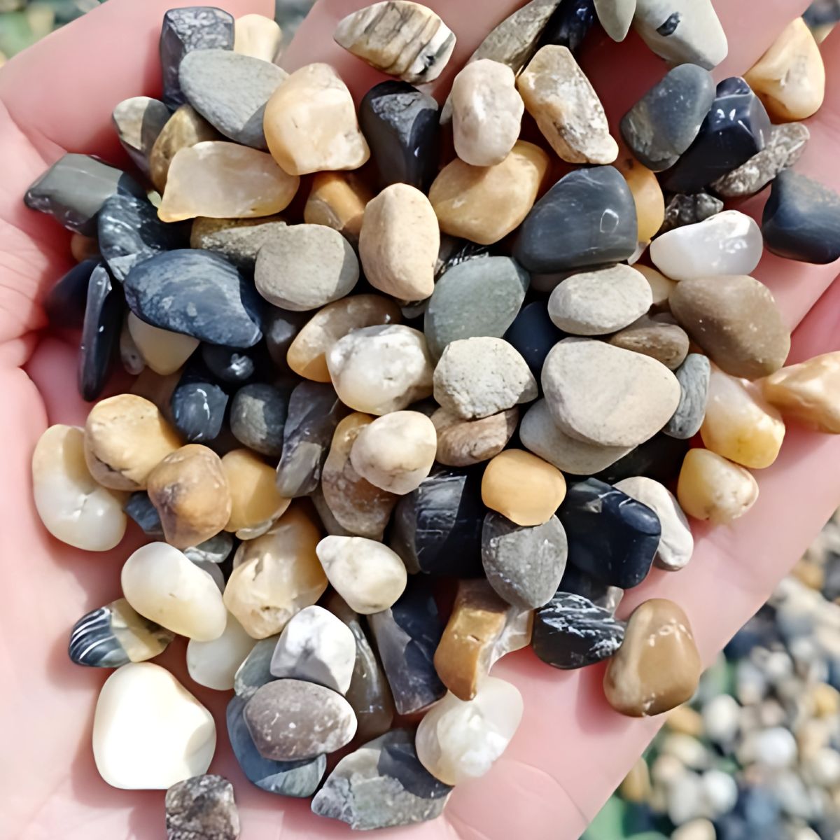 "Piedras Decorativas Grava Decorativa Natural Pulida para Jardín, Macetas, Decoración. (500 gramos).
"