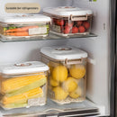 Recipientes Herméticos al Vacío con Bomba Manual. Sin BPA y de Larga Conservación (2.7L y 4.6L). Set de 3 piezas. Vasijas. Cajas de almacenamiento selladas.