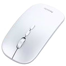 Mouse inalámbrico 4G, compatible con laptops y PCs. Color gris. Ratón para computadora.