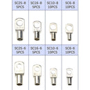 Terminales de Anillo Recubiertos de Cobre SC6-25 para Conexiones Electrónicas. (Juego de 60 piezas). Conjunto de conectores eléctricos.
