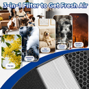 Filtro de repuesto para purificador de aire multifuncional AB1615 Carbone, con sistema de filtración 3 en 1. Prefiltro lavable, H13 HEPA y carbón activado.