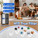 Filtro de repuesto para purificador de aire multifuncional AB1615 Carbone, con sistema de filtración 3 en 1. Prefiltro lavable, H13 HEPA y carbón activado.