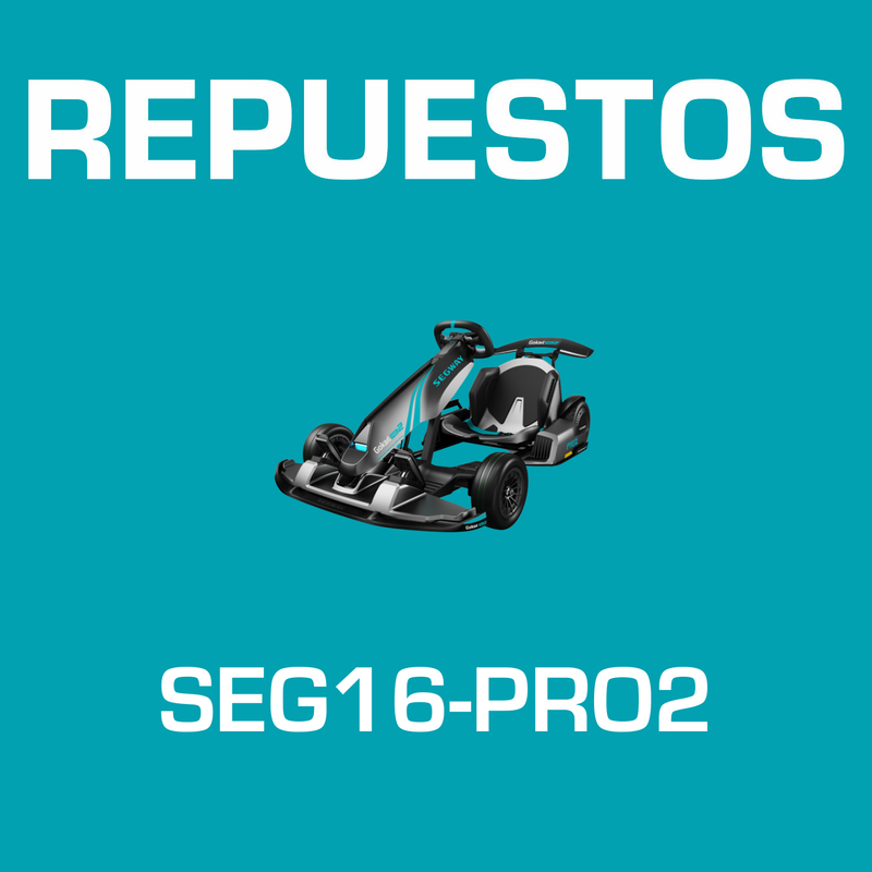 Repuestos de GoKart Pro 2 Segway Ninebot Negro Código SEG16-PRO2