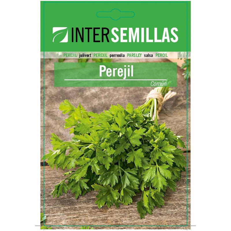 Semillas de Perejil Común (7 g). Ideales para Cultivar en Huertos y Macetas.