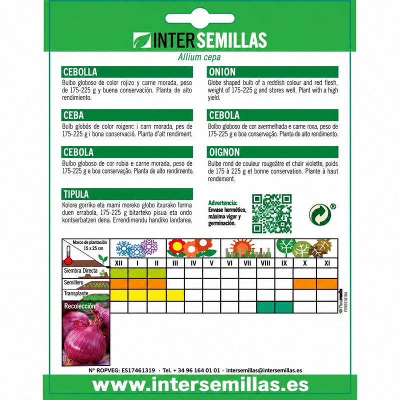 Semillas de Cebolla Morada de Amposta (6 g). Ideales para Cultivar en Huertos y Jardines.