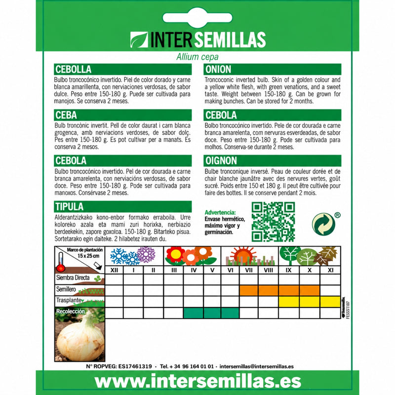 Semillas de Cebolla Valenciana Temprana (6 g). Ideales para Cultivar en Huertos y Jardines.