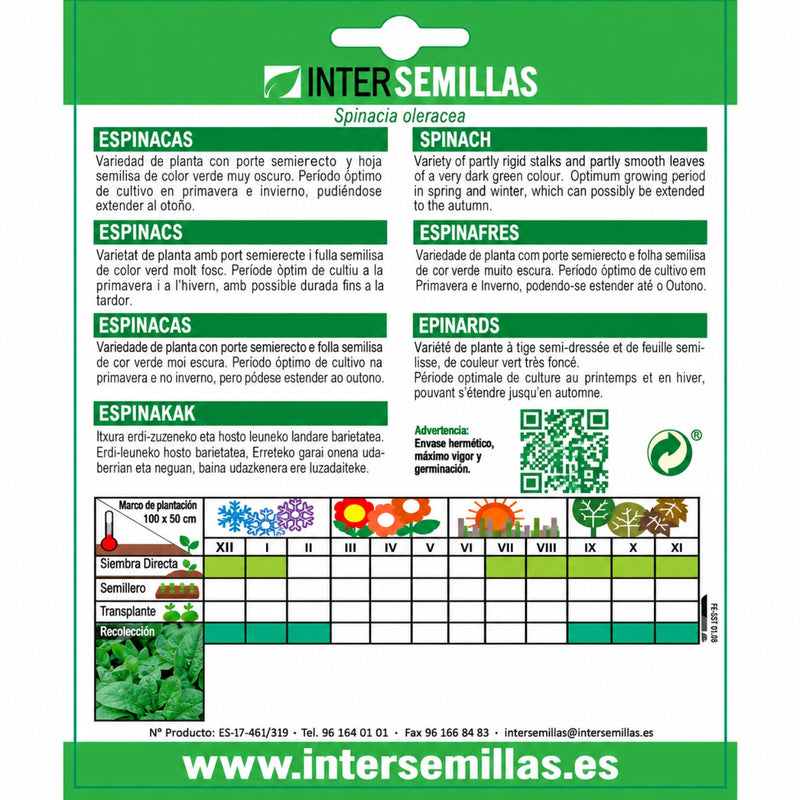 Semillas de Espinaca Gigante de Invierno (7 g). Ideales para Cultivar en Huertos y Jardines.