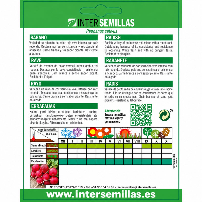 Semillas de Rábano Redondo Rojo Saxa (10 g). Ideales para Cultivar en Huertos y Jardines.