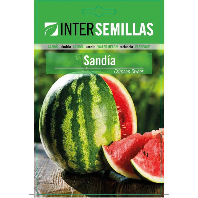 Semillas de Sandía Crimson Sweet (5 g). Ideales para Cultivar en Huertos y Jardines.