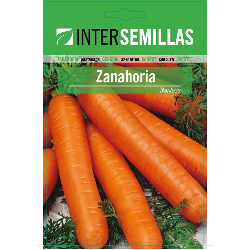 Semillas de Zanahoria Nantesa (8 g). Ideales para Cultivar en Huertos y Jardines.