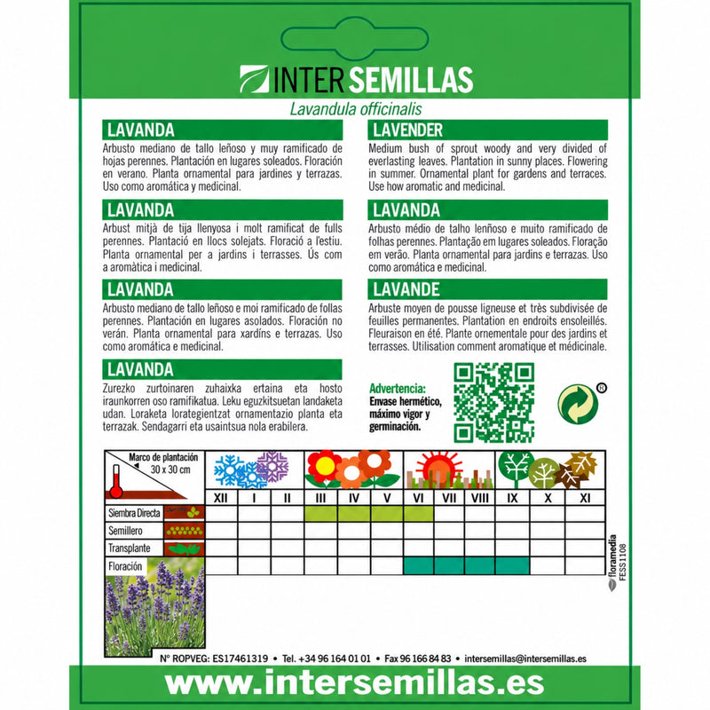 Semillas de Lavanda Lavandula officinalis (0,2 g). Ideales para Cultivar en Jardines y Macetas.