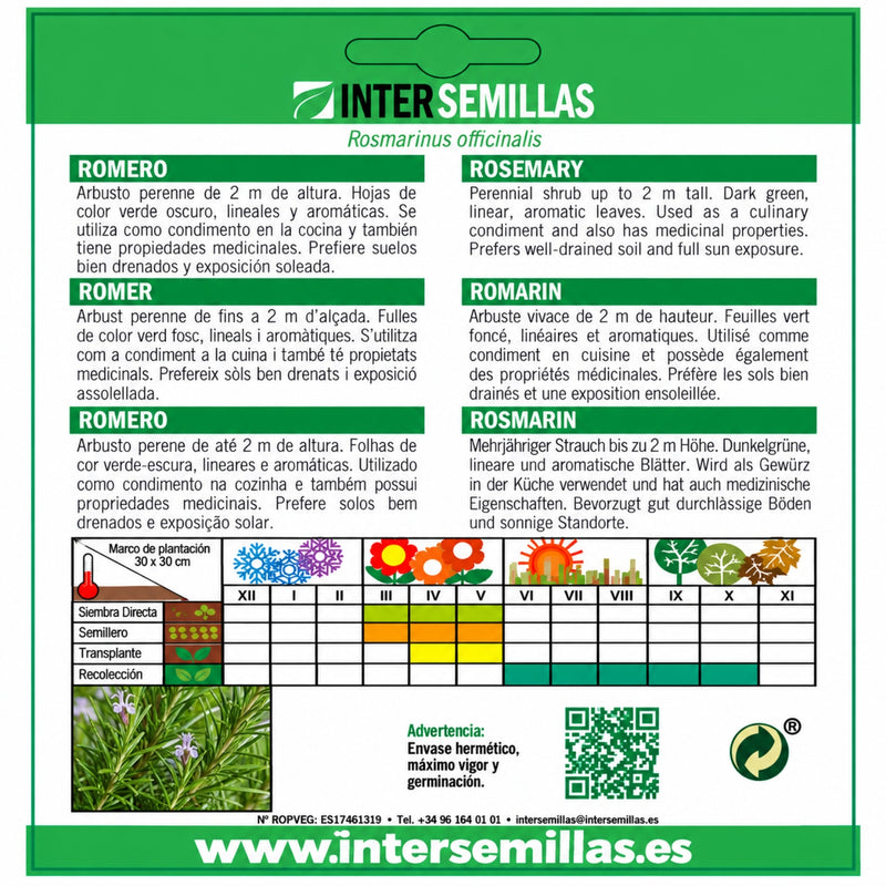 Semillas de Romero Rosmarinus officinalis (0,1 g). Ideales para Cultivar en Jardines y Macetas.