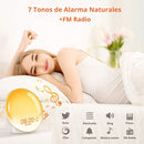 Lampara De Mesa De Noche LED Con Despertador. Reloj Con 7 Tonos de Luz Y Radio FM Con Sonidos Naturales Y Puerto USB Para Cargar El Teléfono.