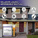 Sellador Impermeable Invisible 300g con Brocha Aplicadora. Agente Líquido Transparente de Alta Resistencia para Sellado a Prueba de Agua.