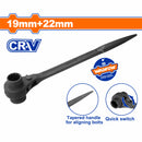 Llave de Andamio doble 19x22mm Cr-V 12 puntas. Acero Forjado. Tratamiento térmico.