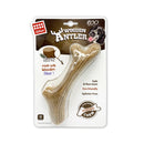 Juguete Con Madera Real Masticable Para Mascotas M