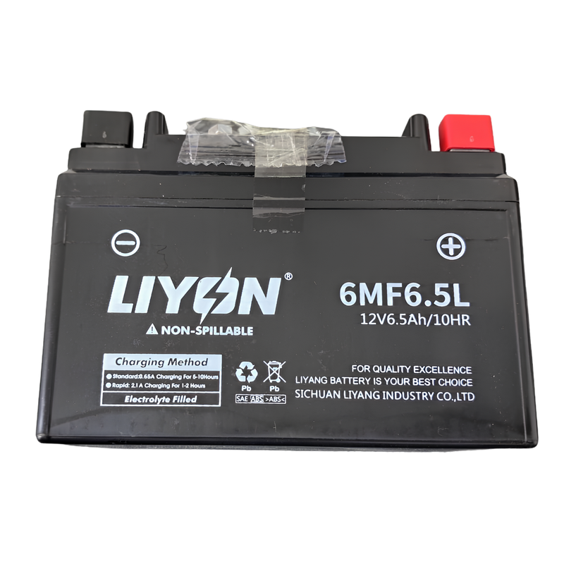 Batería 12V6.5AH (TX200 / TX150)