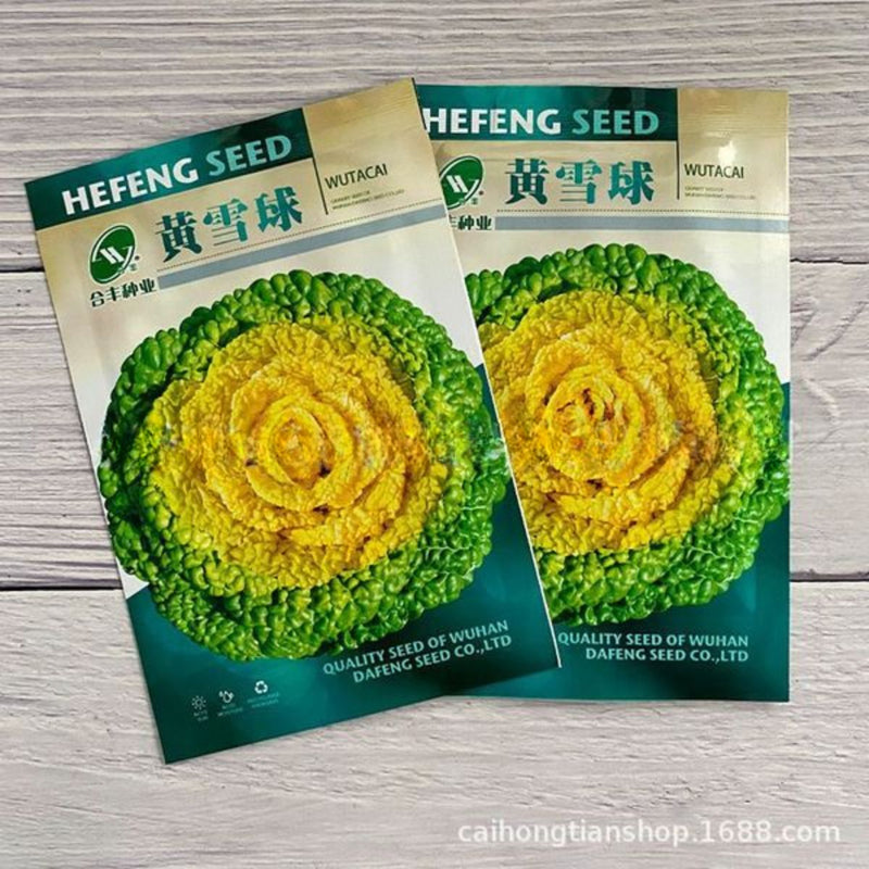 Semillas de Col Ornamental Amarilla. Pack de Semillas para Jardinería y Huertos.