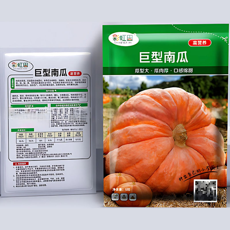Semillas de Calabaza Gigante. (5 semillas). Pack de Semillas para Jardinería y Huertos.