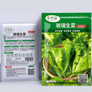 Semillas de Lechuga Crespa. (3 gramos). Pack de Semillas de Lechuga Rizada.