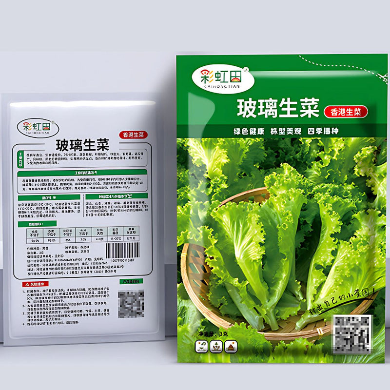 Semillas de Lechuga Crespa. (3 gramos). Pack de Semillas de Lechuga Rizada.