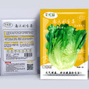 Semillas de Lechuga Romana. (3 gramos). Pack de Semillas de Lechuga Italiana.