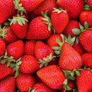 Semillas de Fresas Rojas. (20 gramos). Pack de Semillas de Fresas.