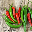 Semillas de Chiles Rojos y Verdes. (5 gramos). Pack de Semillas para Jardinería y Huertos.